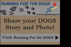 Chase Away K9 Cancer