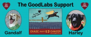 GoodLabs Final Banner (small)